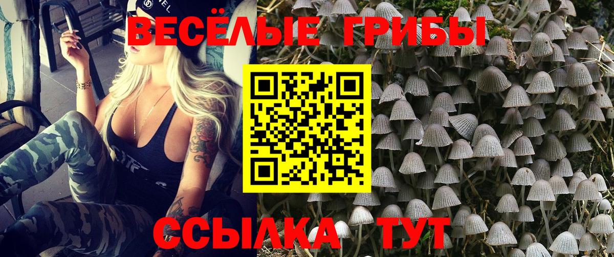 Галлюциногенные грибы ЛСД Урай