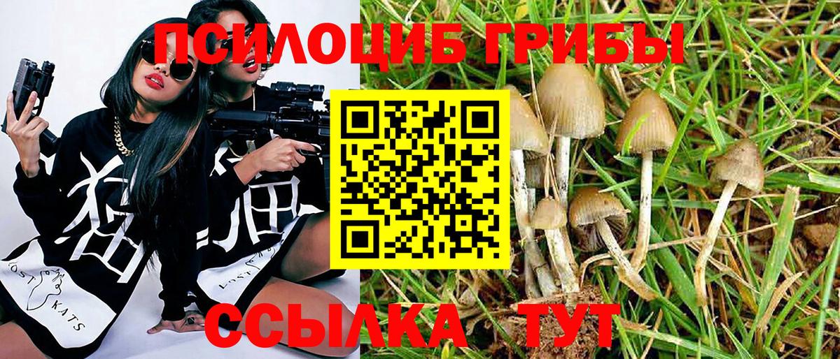 где купить наркоту  Вход с VPN  Урай  Галлюциногенные грибы MAGIC MUSHROOMS  Галлюциногенные грибы мицелий 